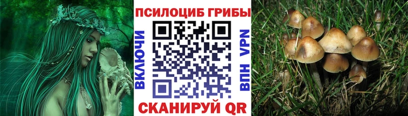 Псилоцибиновые грибы Psilocybine cubensis  Купить где  Городовиковск 